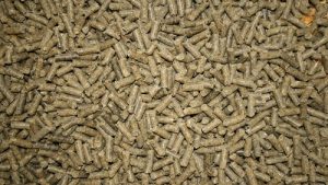 Wood Pellets vs Alfalfa Pellets